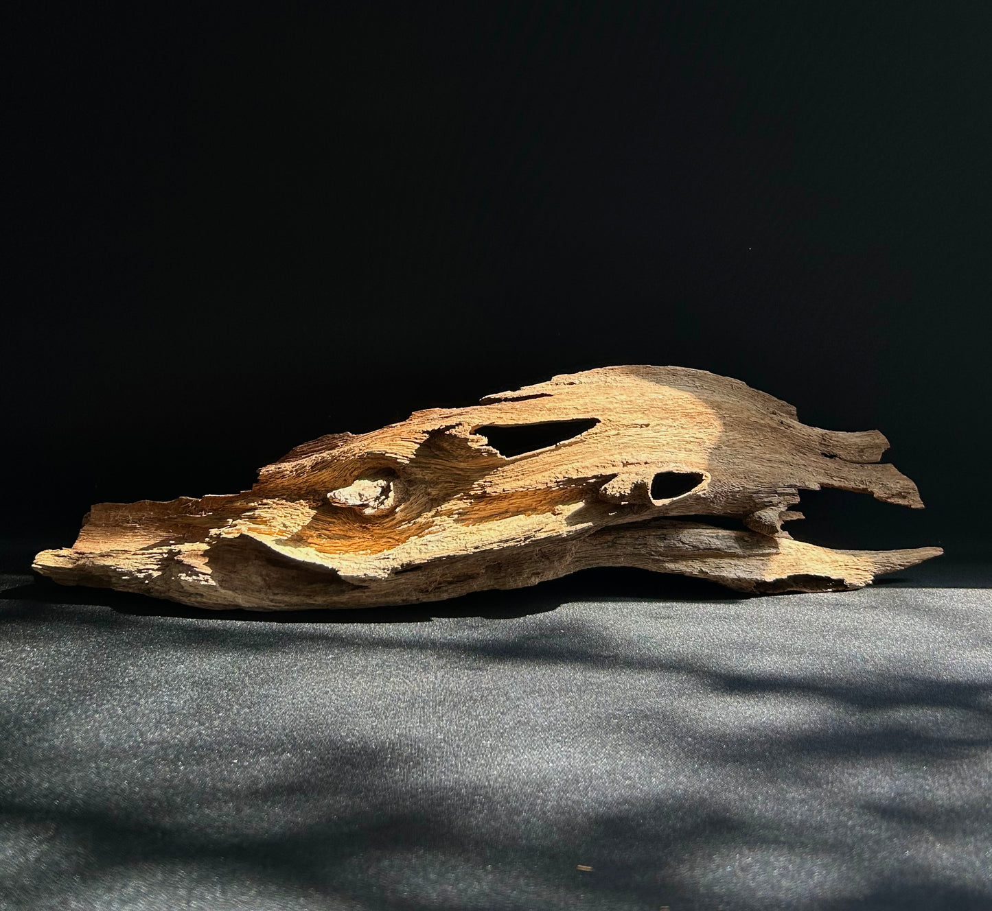 Agarwood Feature Piece