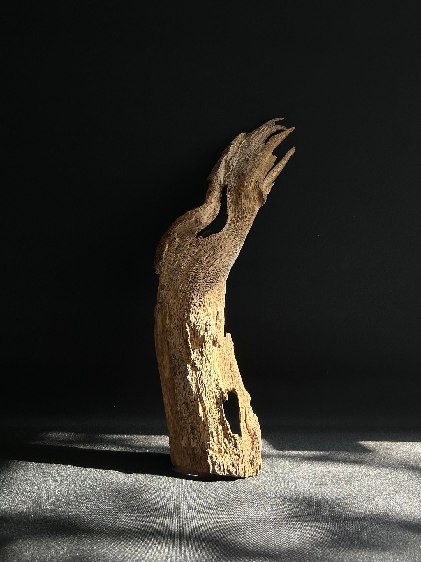 Agarwood Feature Piece