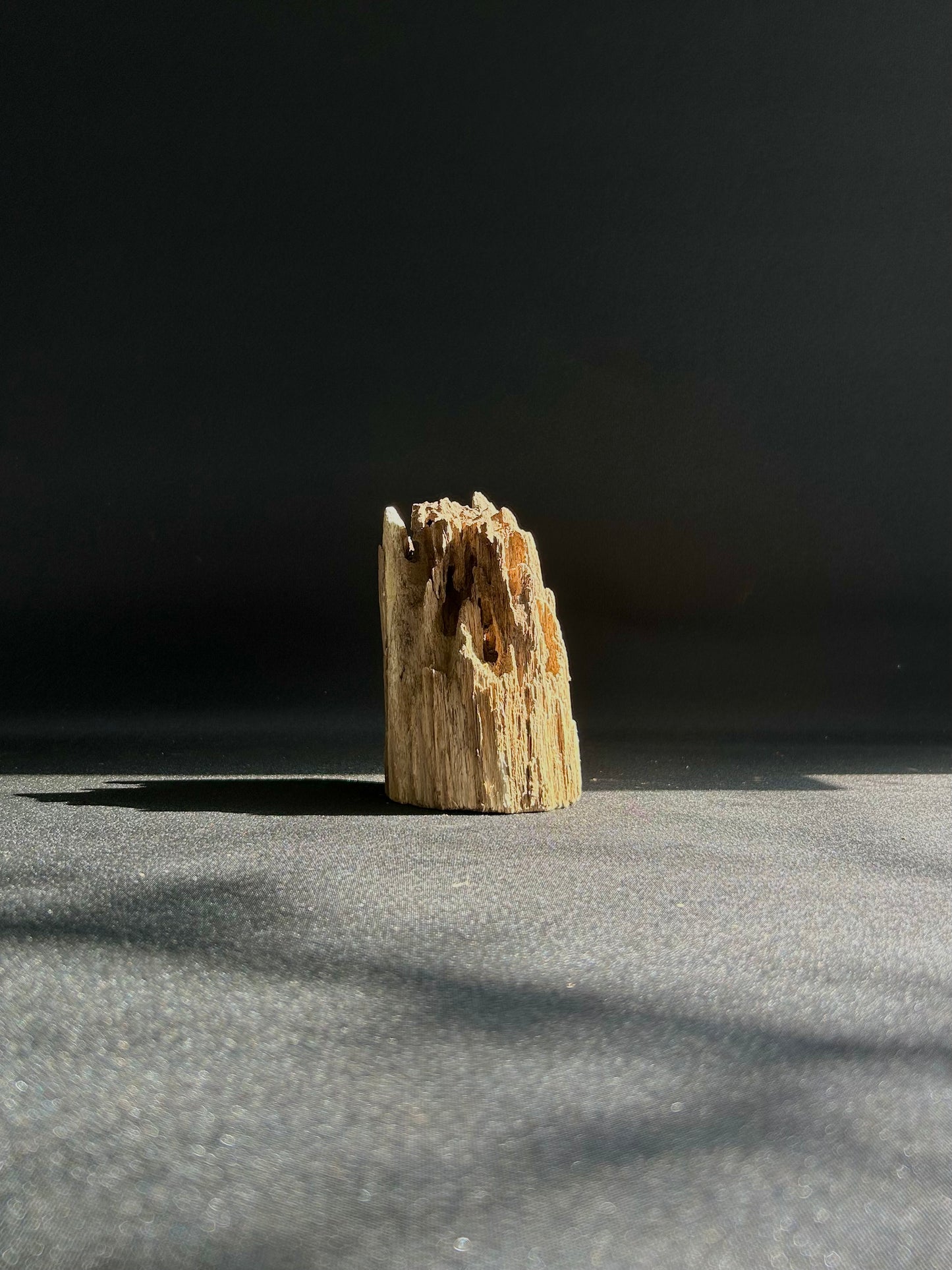 Agarwood Feature Piece