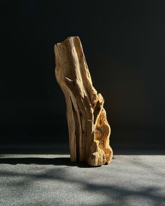 Agarwood Feature Piece