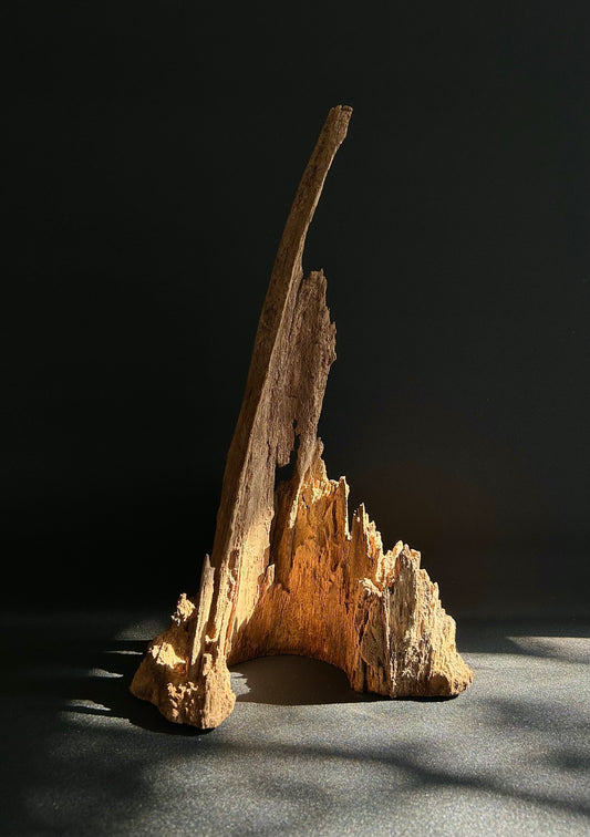 Agarwood Feature Piece 2