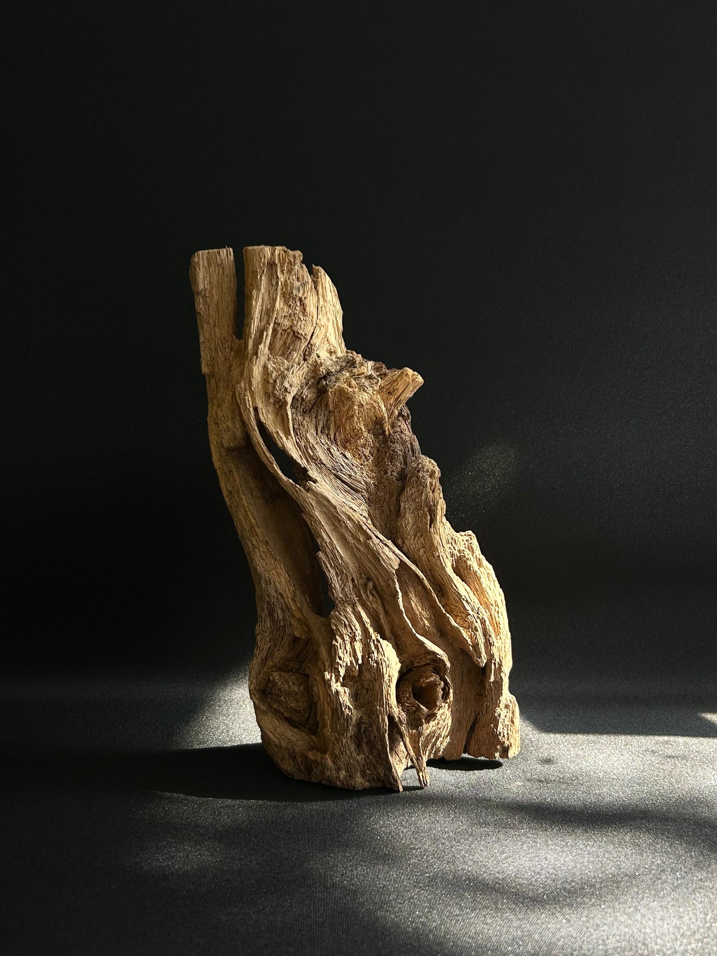 Agarwood Feature Piece